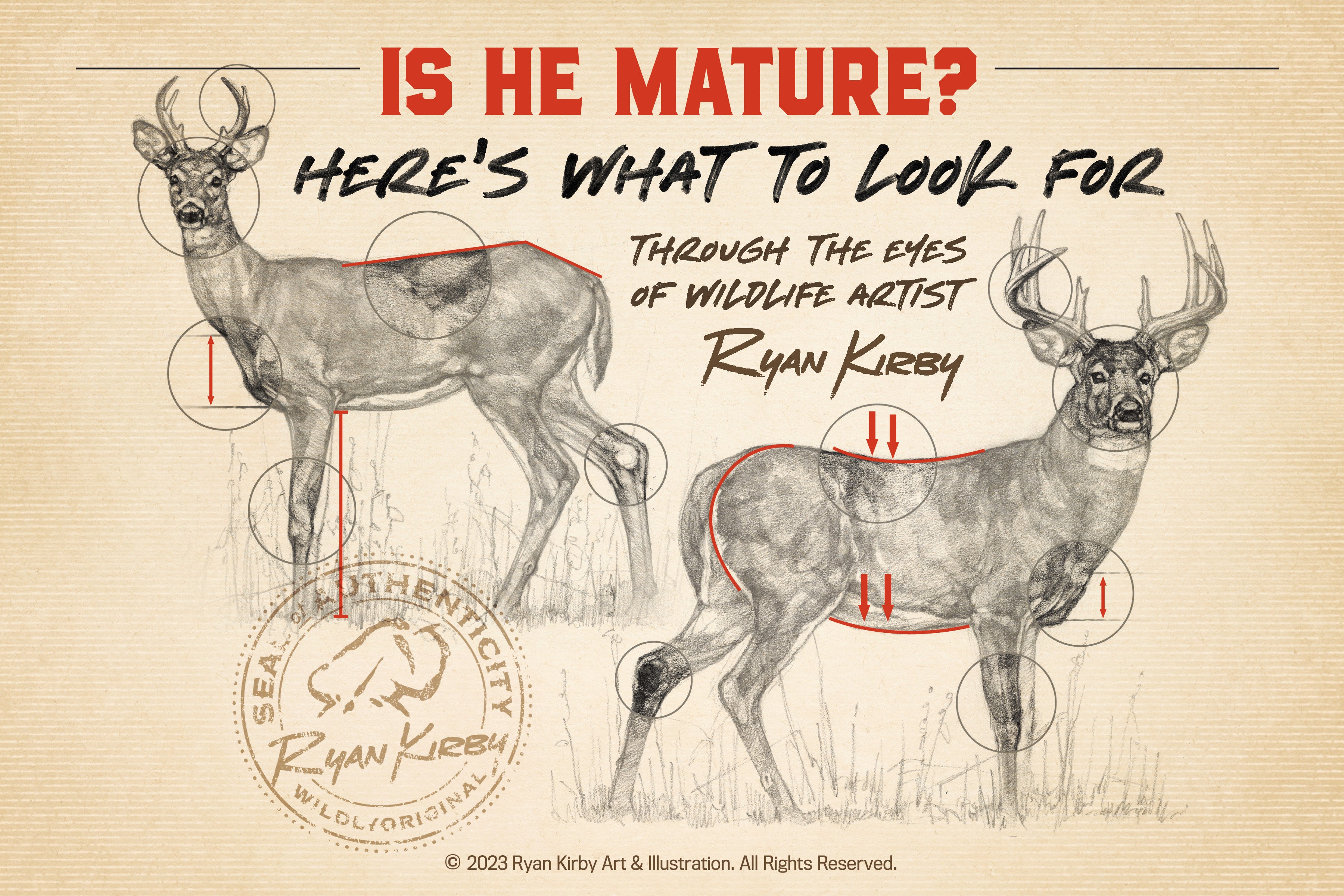 Deer Aging on the Hoof Guide