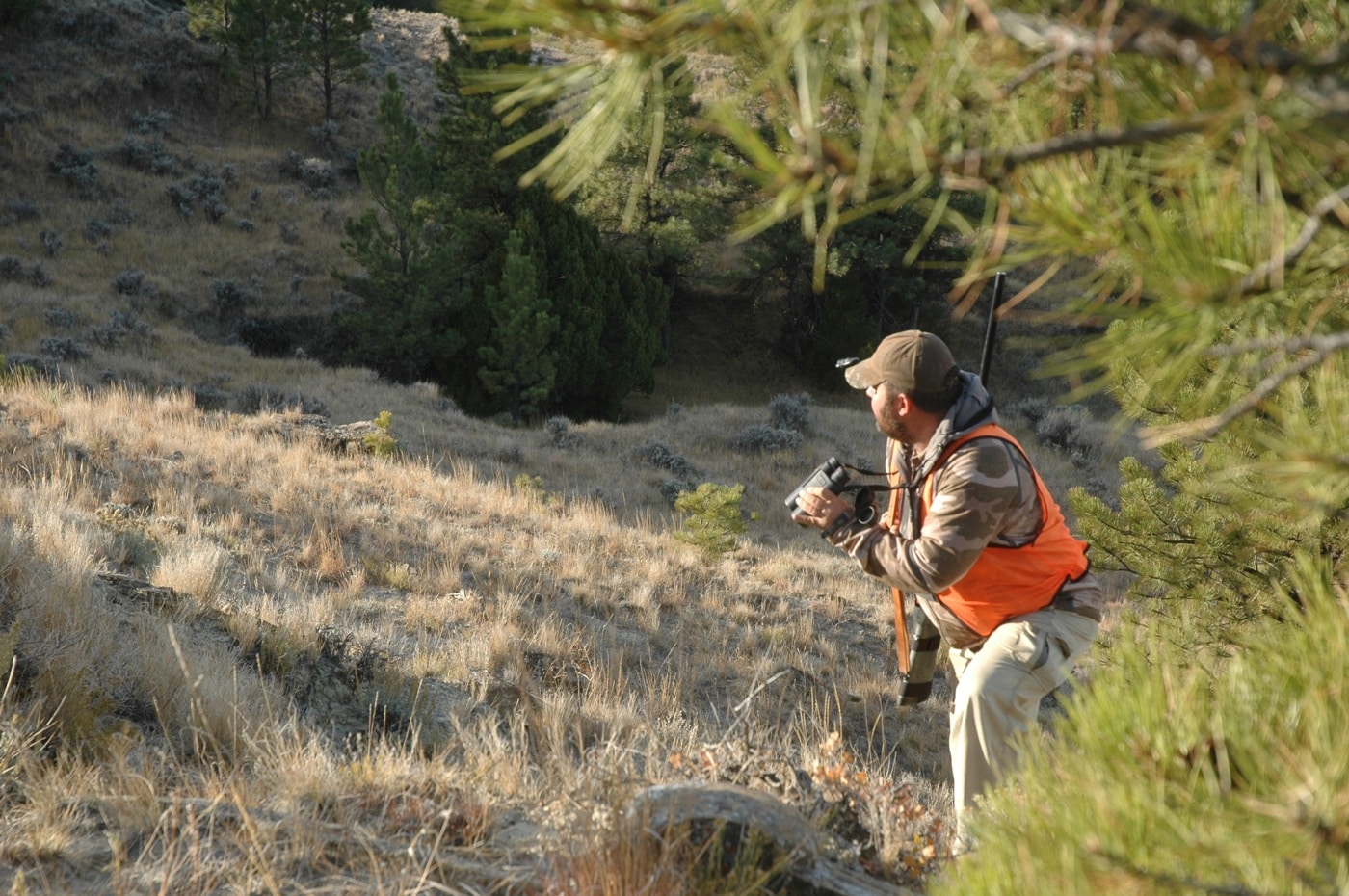 The 52-Year Scouting System