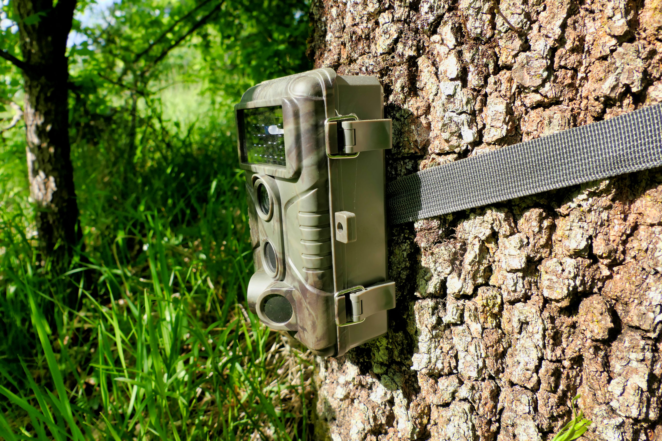 Trail Camera Tactics Card