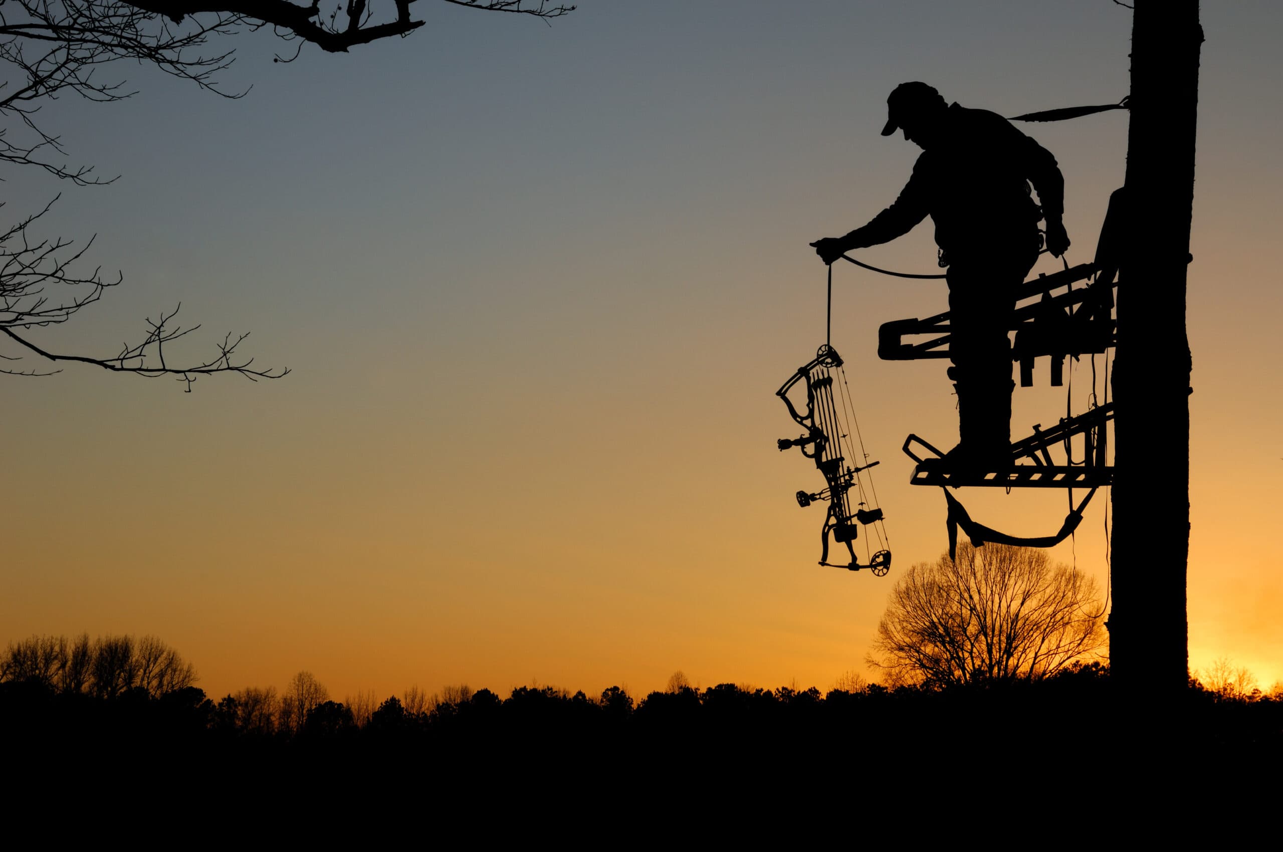 Whitetail Mastery: The Complete System